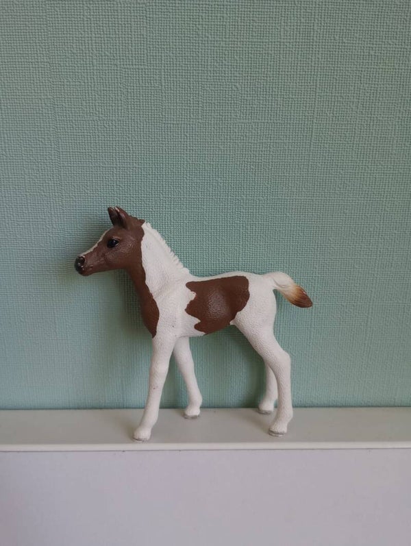 Schleich Pinto arabier veulen 13839