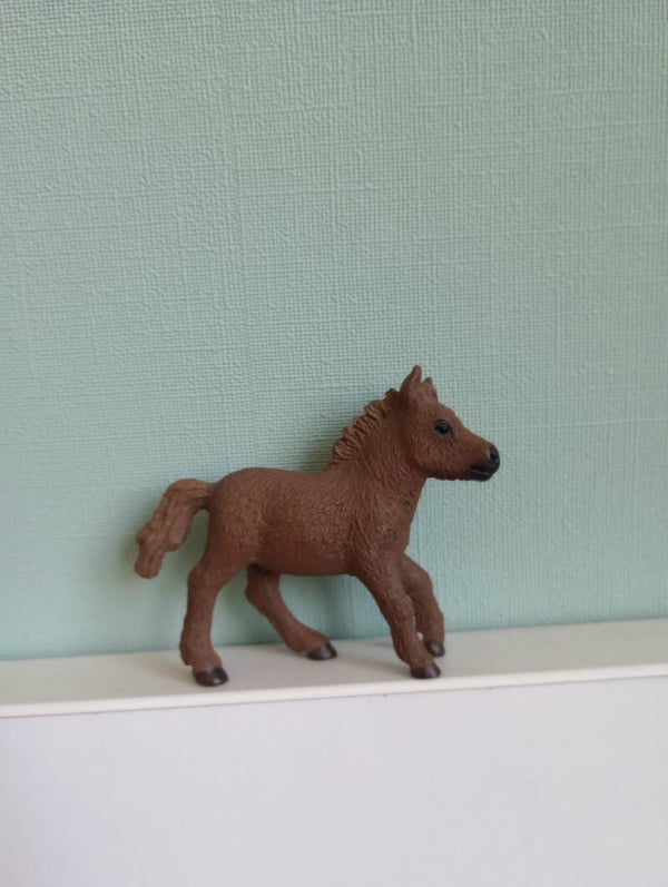 Schleich Shetlander veulen uit set 42362