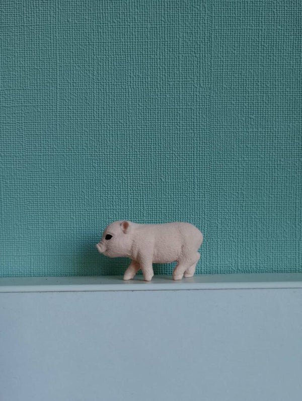 Schleich biggetje