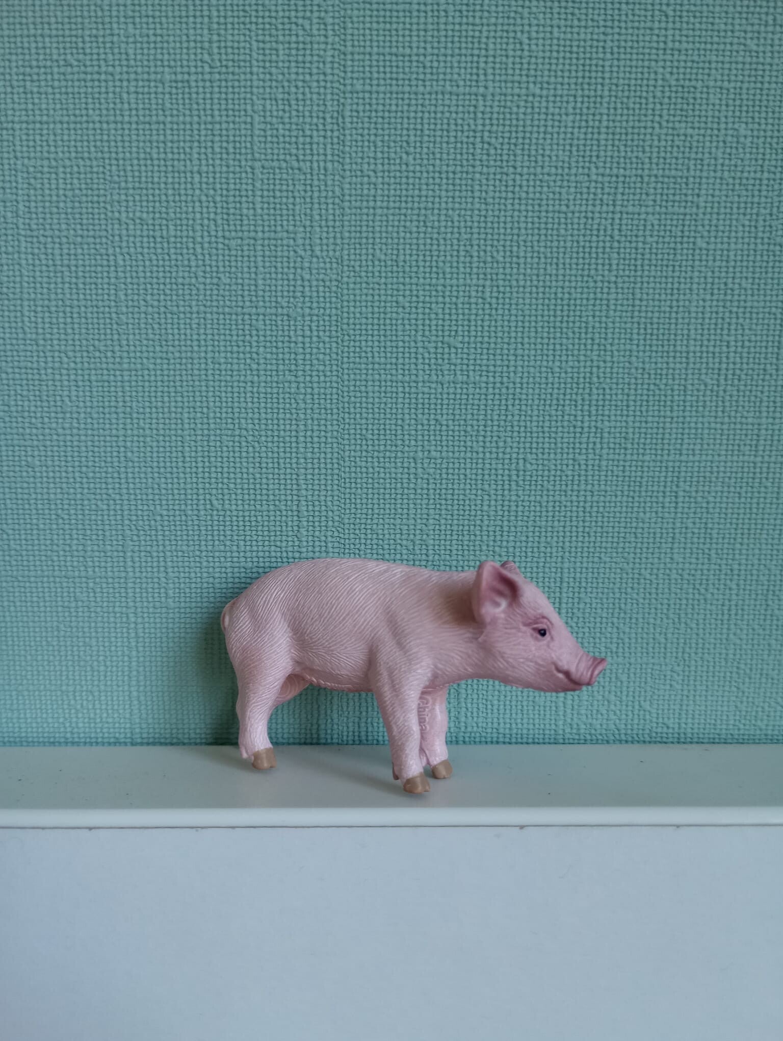 Schleich varken