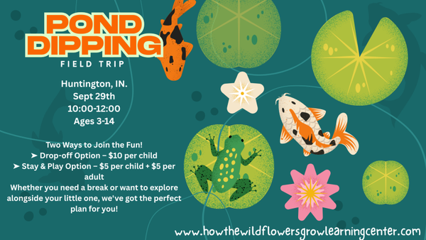 Pond Dipping Field Trip (SOLD OUT)