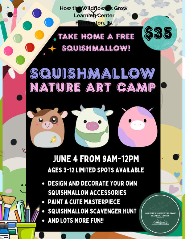 Squishmallow Nature Art Summer Camp!