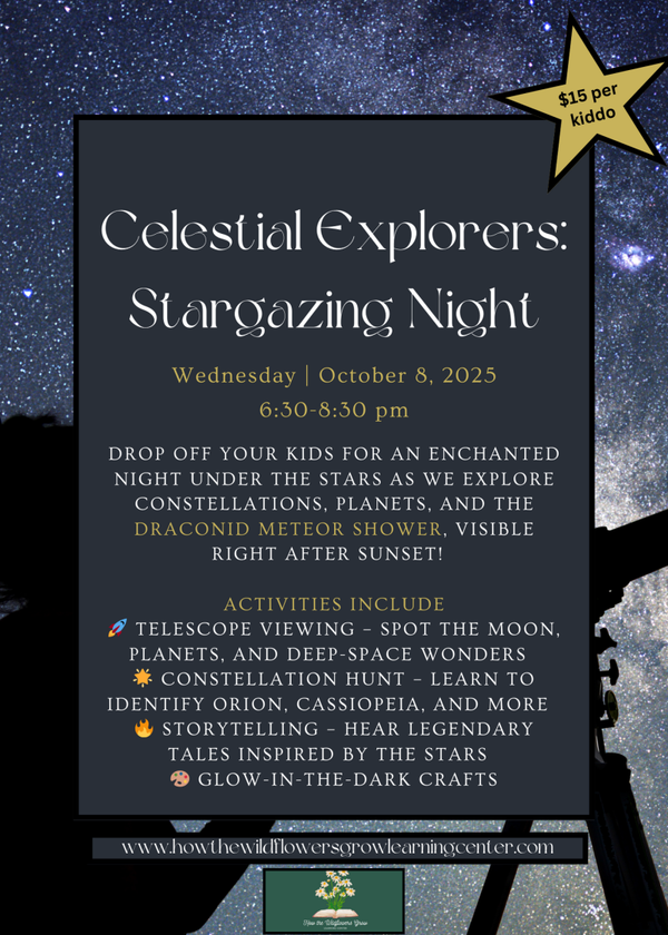 Draconid Meteor Shower---Stargazing Night! (SOLD OUT)