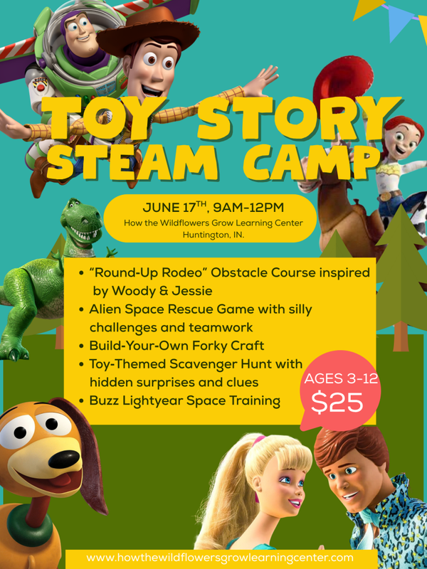 Toy Story STEAM Summer Camp!