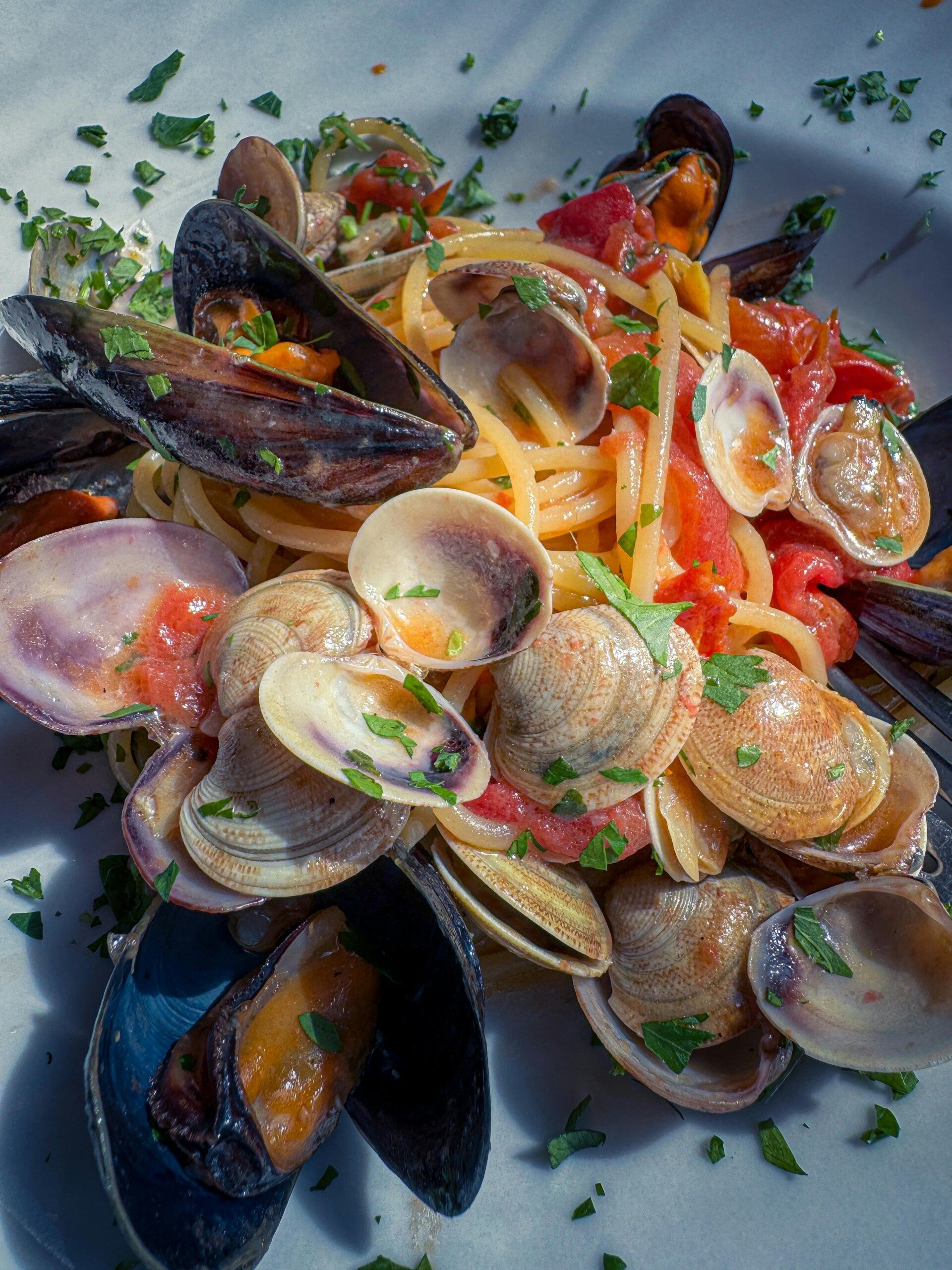 Ein Teller frische Pasta mit Meeresfrüchten wie Miesmuscheln, Venusmuscheln und Tomatensoße.