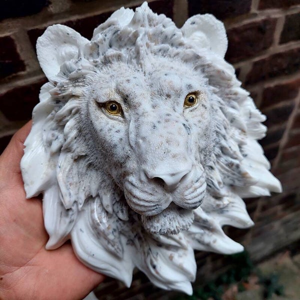 Leeuw tijgeroog, zebrajaspis