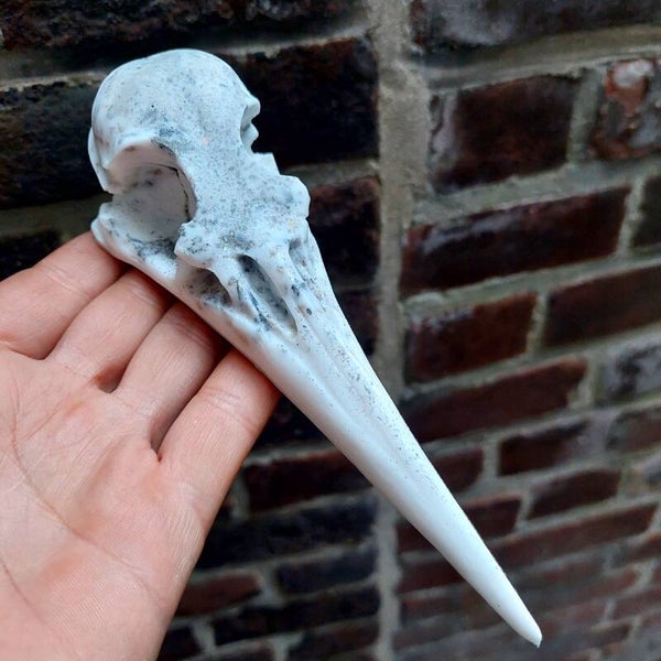 Schedel chalcopyriet, pyriet, celestien