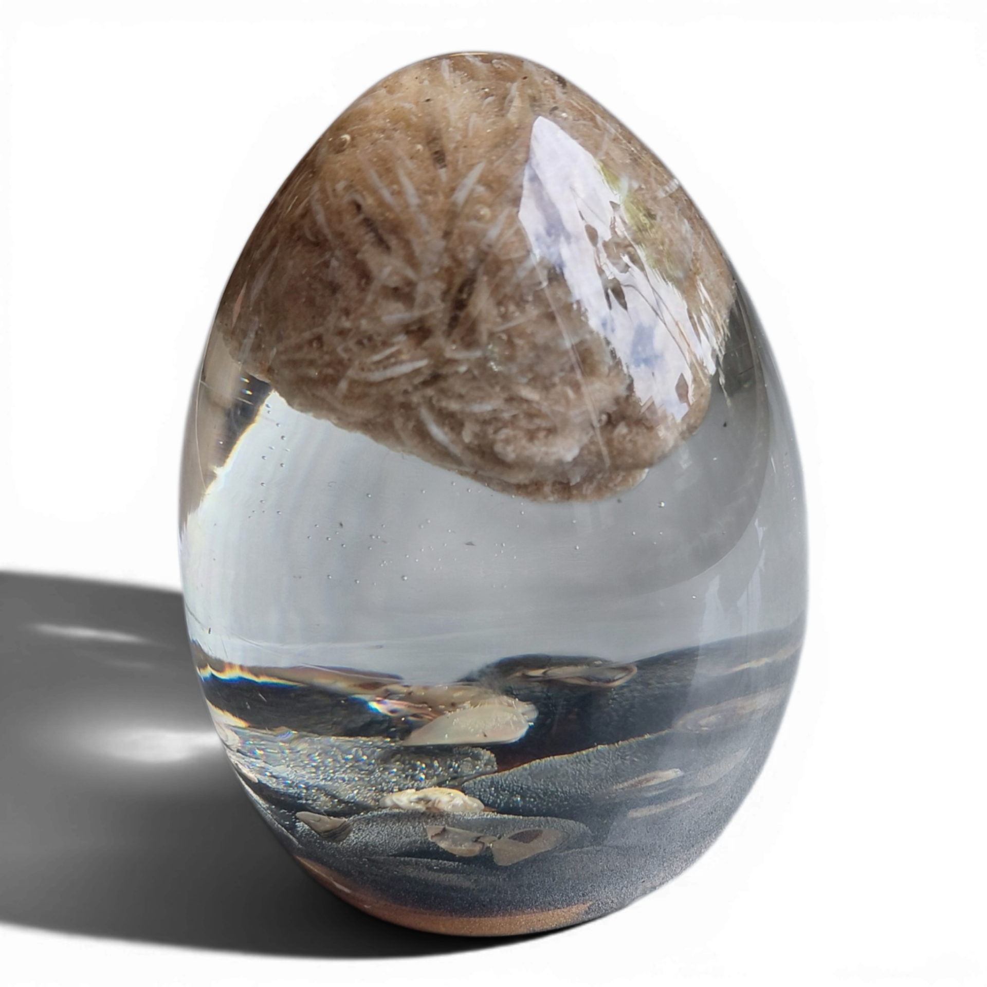 Egg woestijnroos