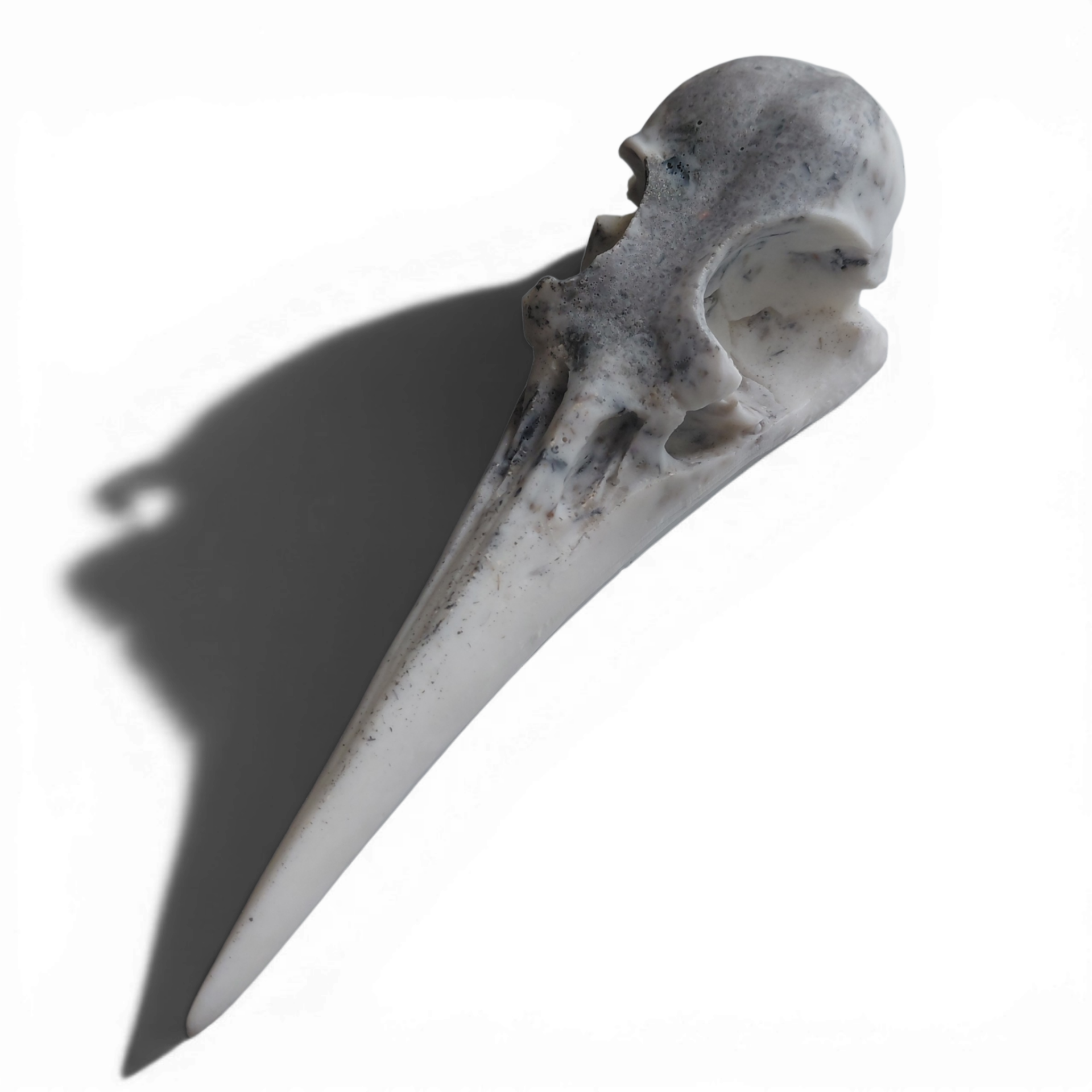 Schedel chalcopyriet, pyriet, celestien