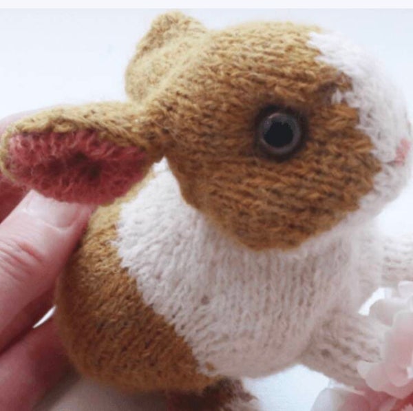 Baby Bunny