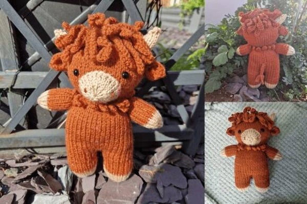 Harry the Heeland Coo