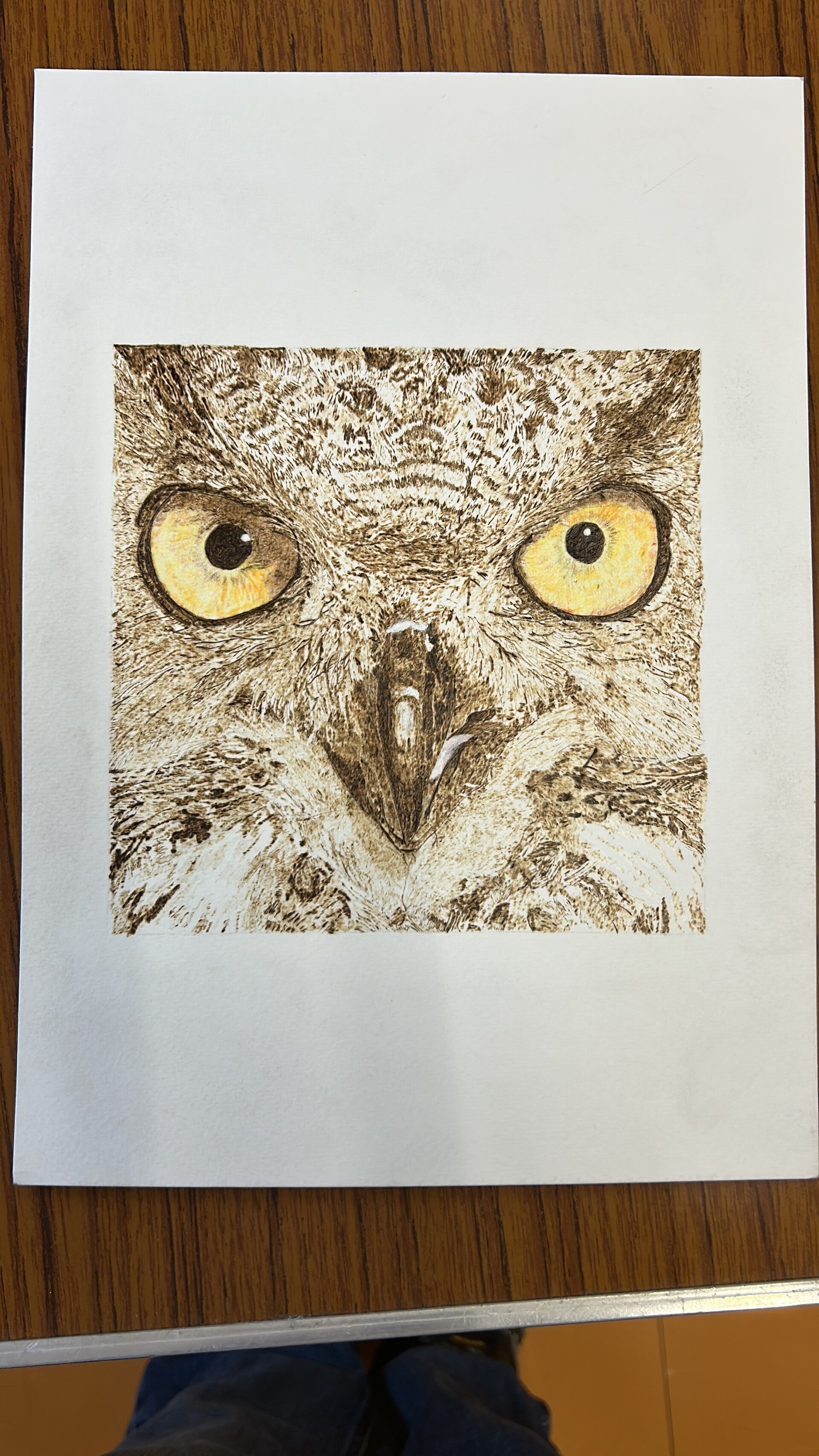 Hand-drawn owl created with pyrography on watercolor paper