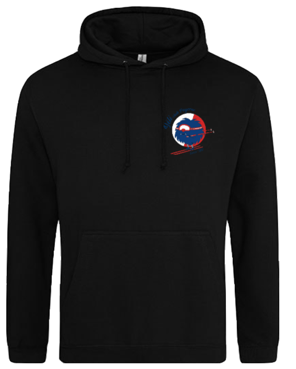 College Hoodie hommes