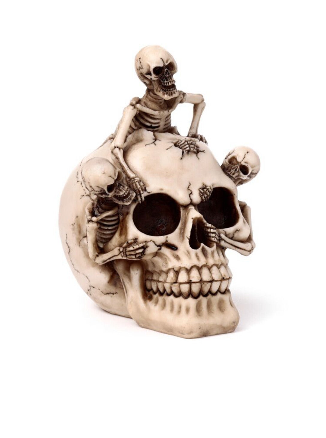 Schedel met barstende skeletten