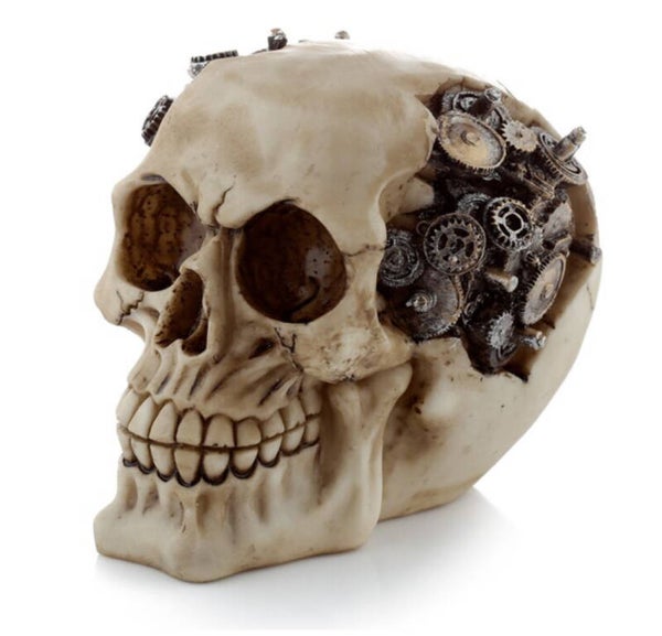 kans steampunk schedel,