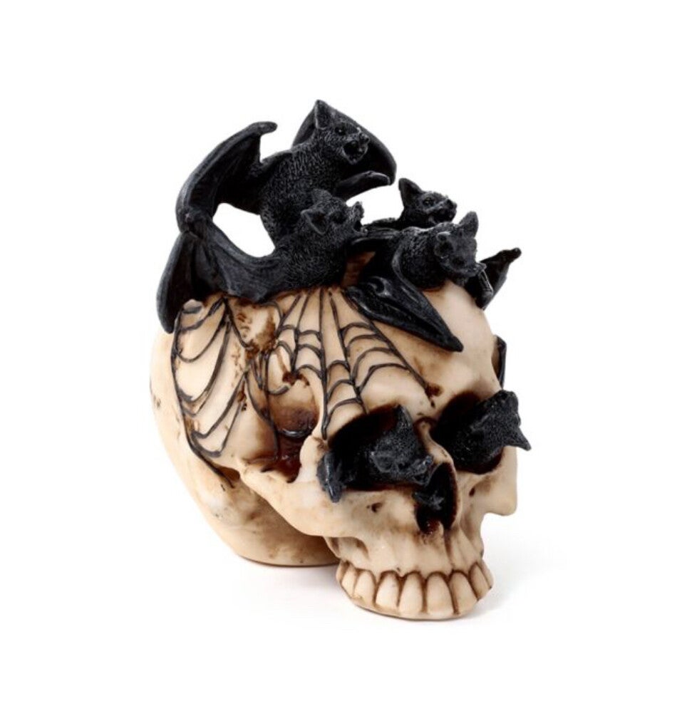 Schedel met vleermuizen binnenin