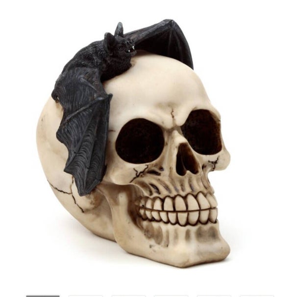 schedel met vleermuis