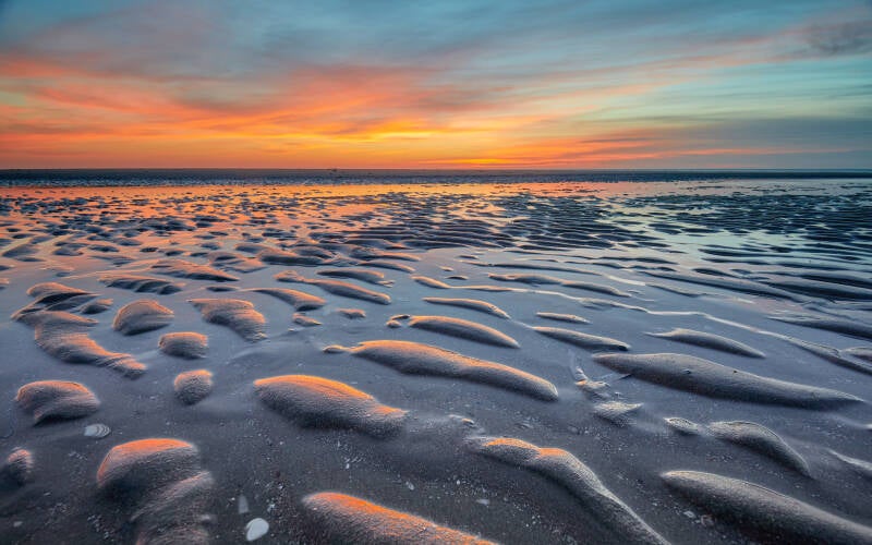 2021-02-23_18-24-19_5d4_6182_edit-standard-6n0a7u.jpg