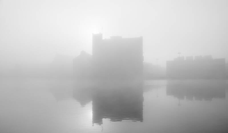 2021-02-28_09-00-46_5d4_6661-standard.jpg