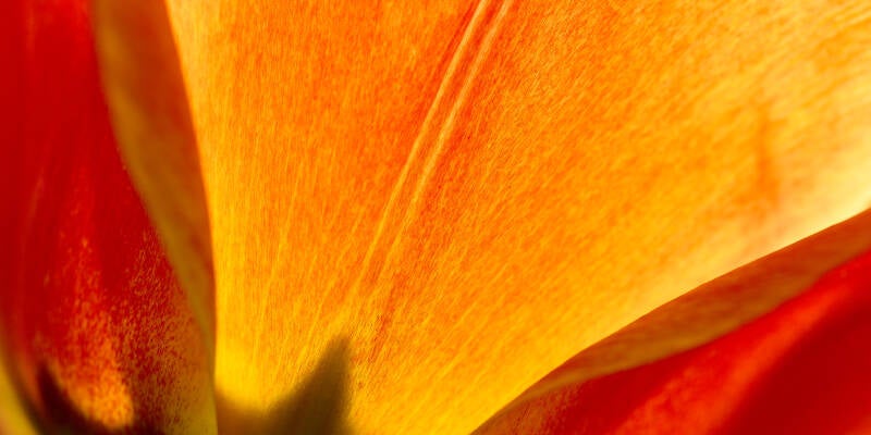2026-04-15_17-00-46_r63_4962-standard.jpg