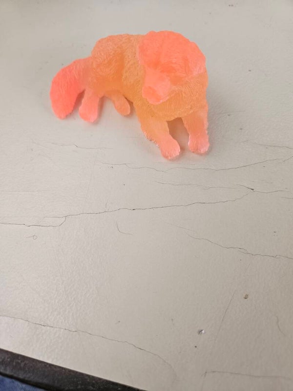 Labrador
