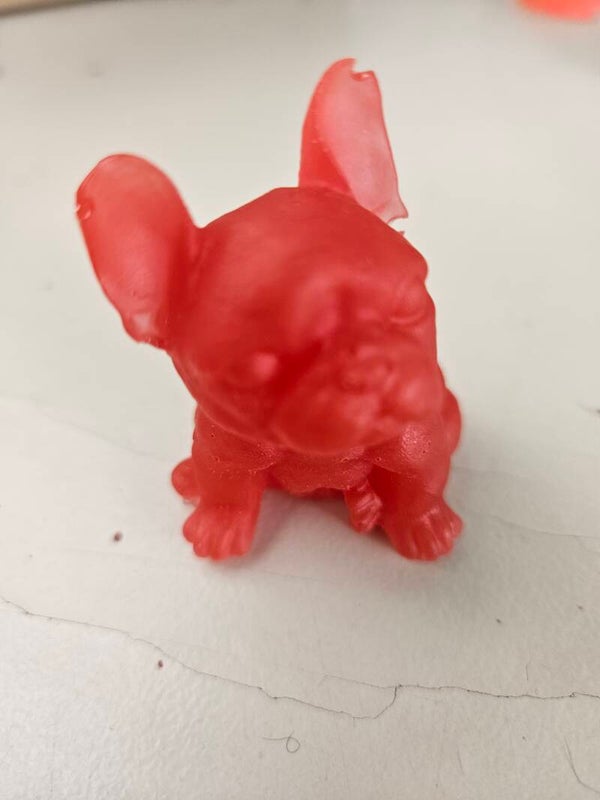 Bouledogue  français