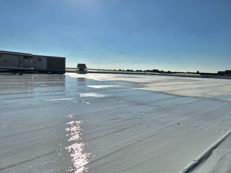 dakcoating zuid holland