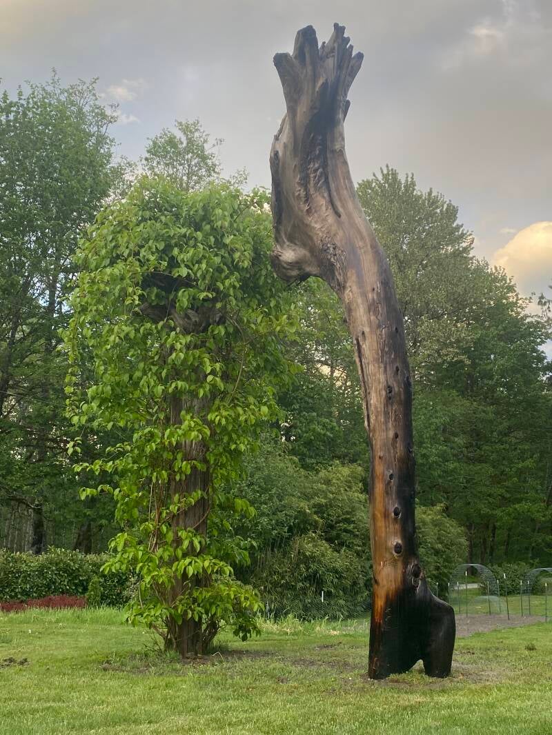 Driftwood Cedar Totem 13'x6'