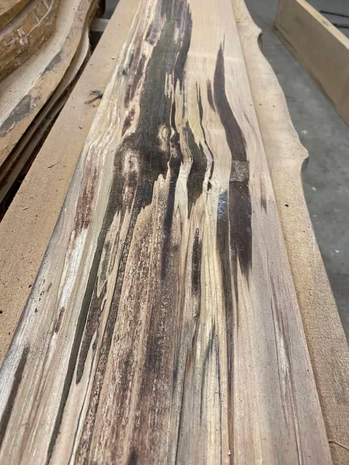 Fresh milled spalted Alder