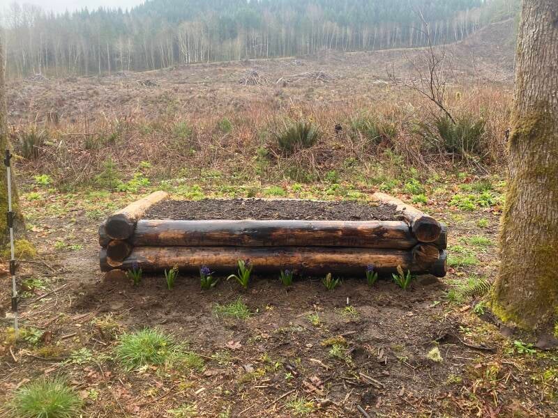 Fir Log Raised Garden Bed