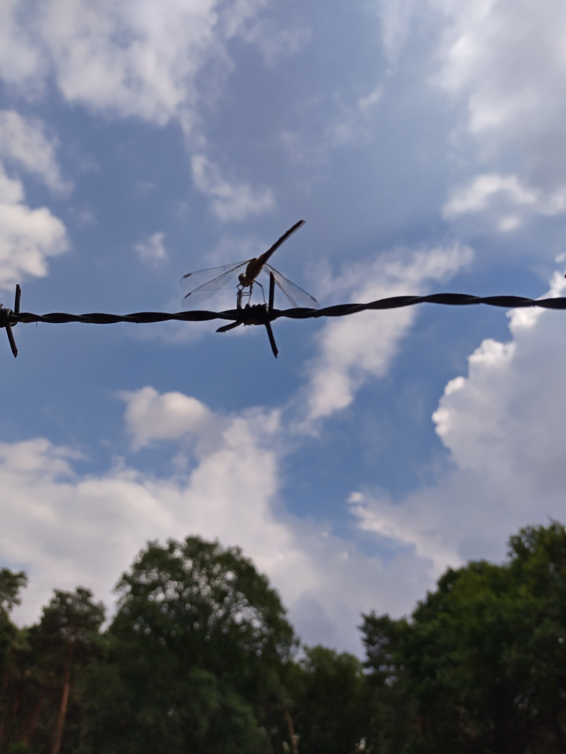 tekens uit natuur Sign