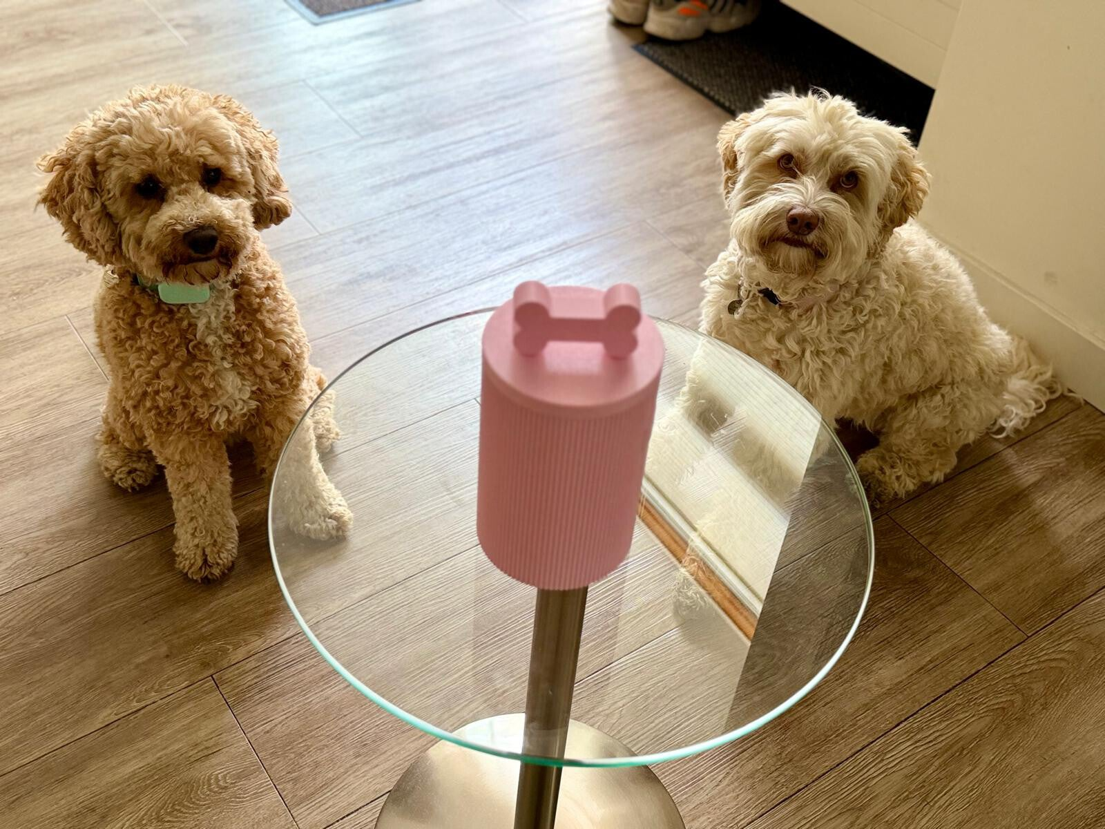 labradoodles met hondenkoekjes pot roze van glaede