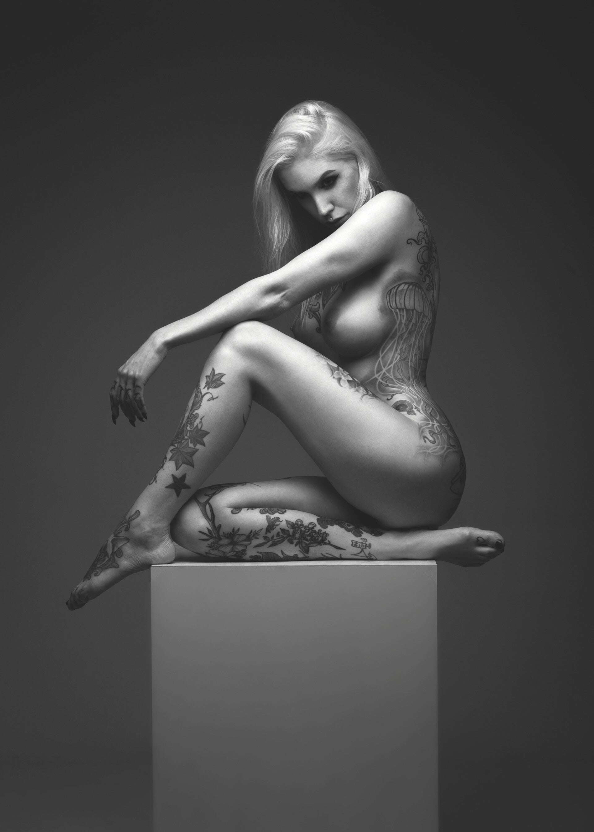 2s7a6292-modifier-standard.jpg