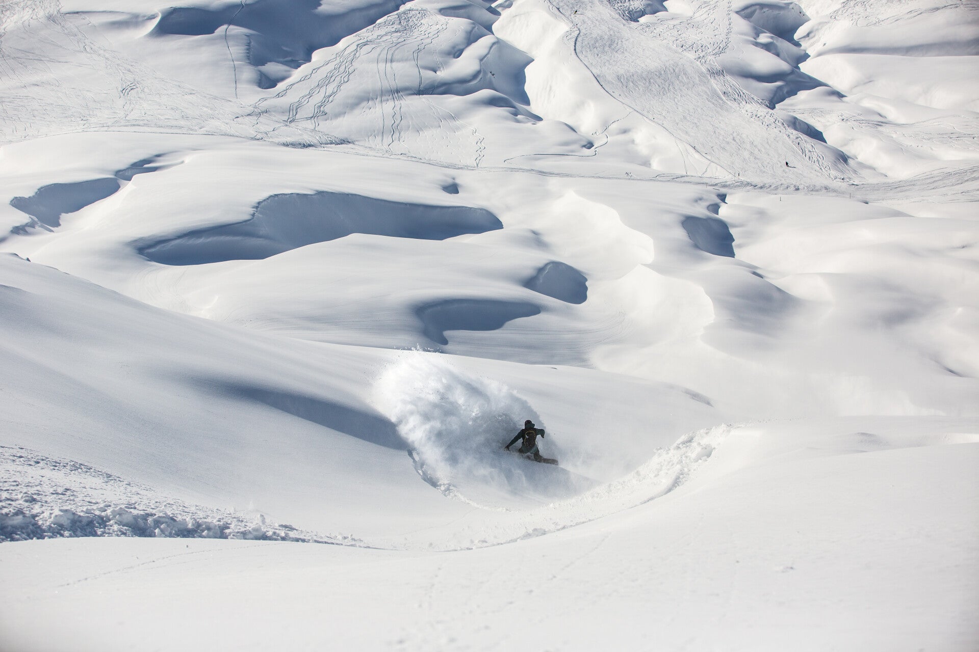 Freeriding