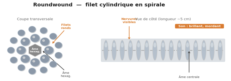 Roundwound : le roi du monde (ou presque)