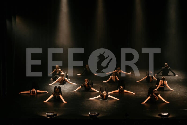 effort-logo-1094.jpg