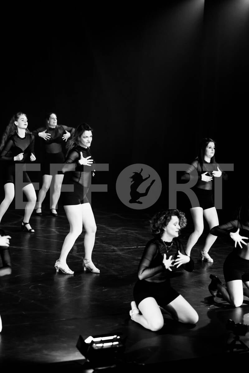effort-logo-1128.jpg
