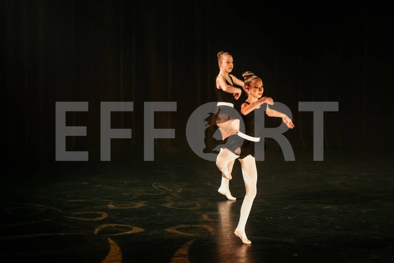 effort-logo-1149.jpg