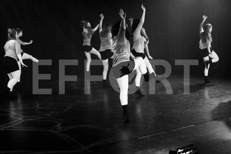 effort-logo-1441.jpg