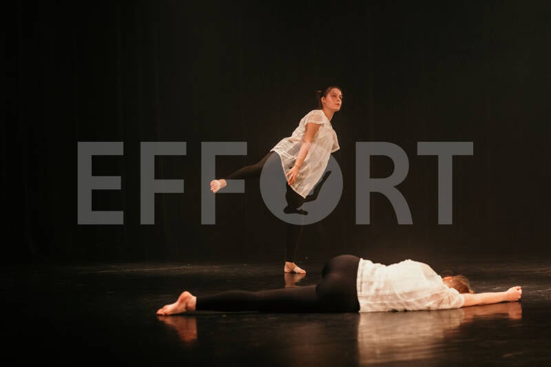 effort-logo-1465.jpg