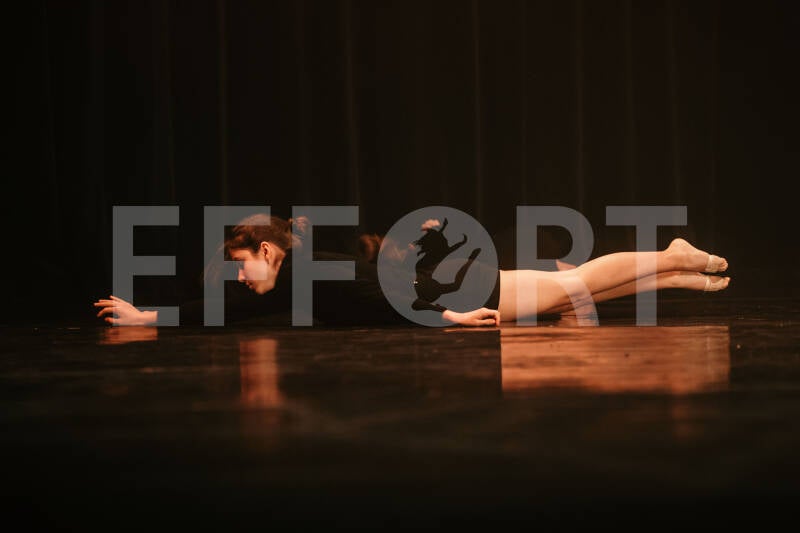 effort-logo-1479.jpg
