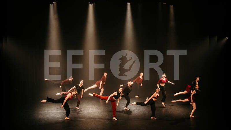 effort-logo-233.jpg