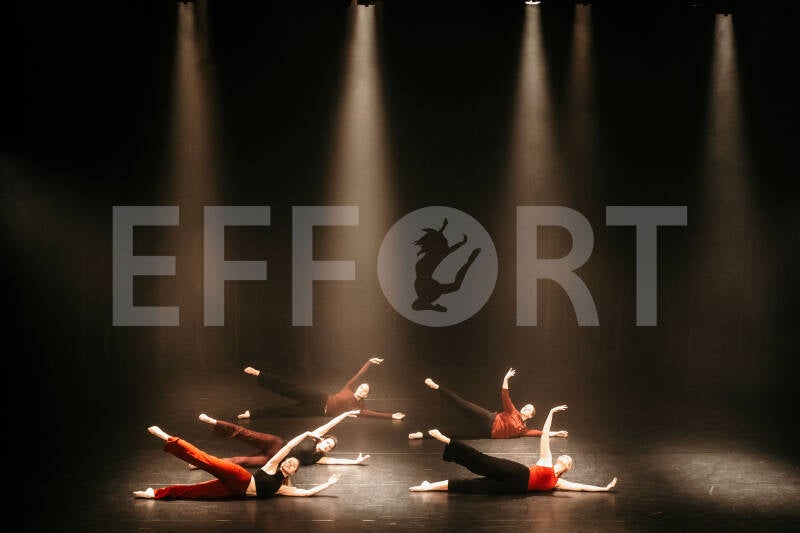 effort-logo-238.jpg