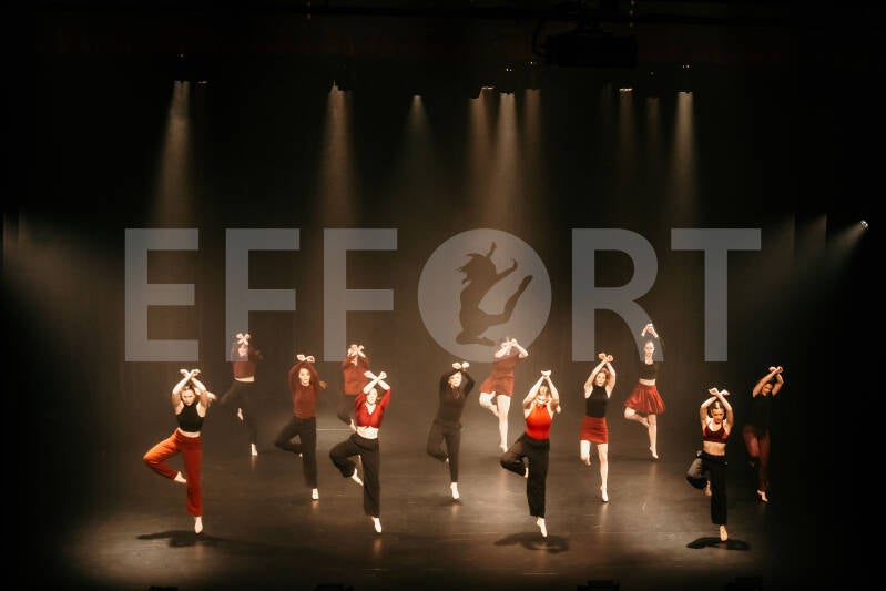 effort-logo-240.jpg