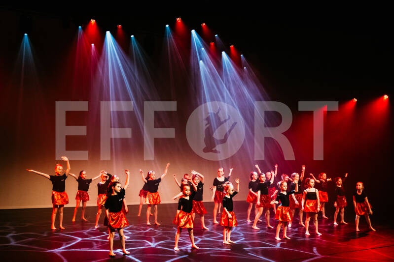 effort-logo-379.jpg