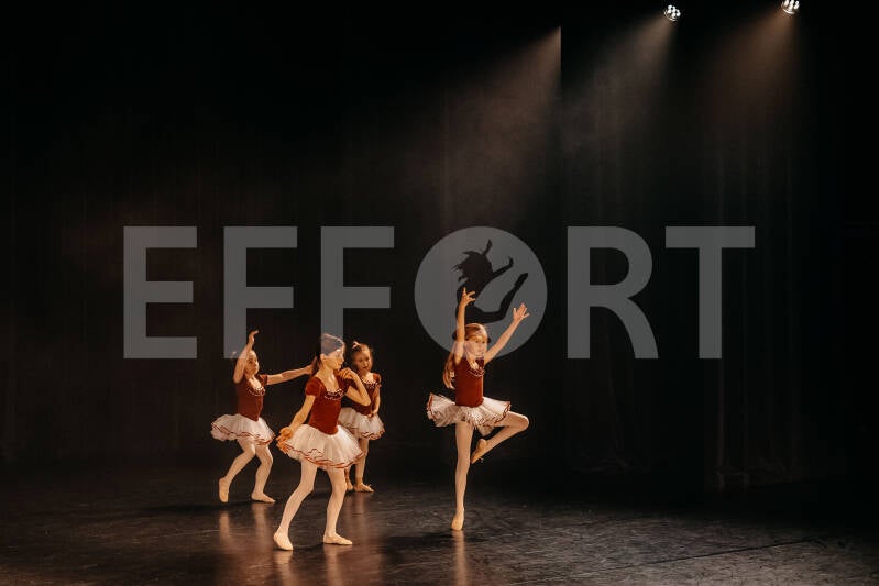 effort-logo-48.jpg