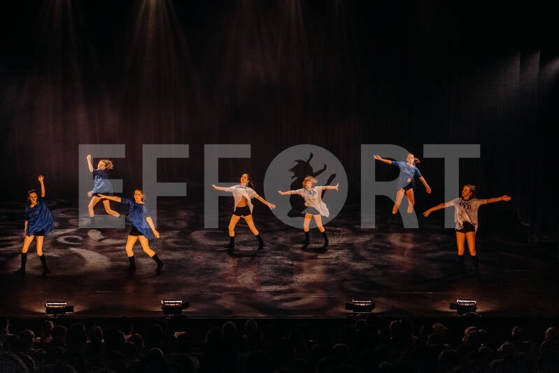 effort-logo-72.jpg