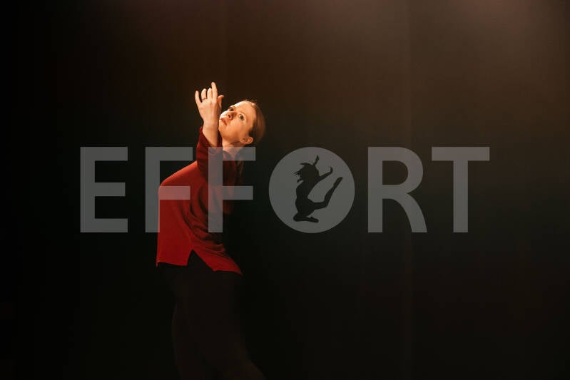 effort-logo-754.jpg