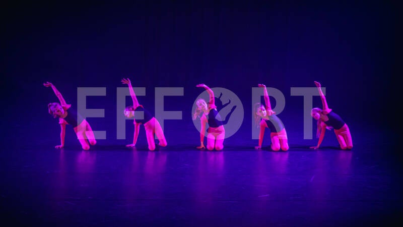 effort-logo-76.jpg