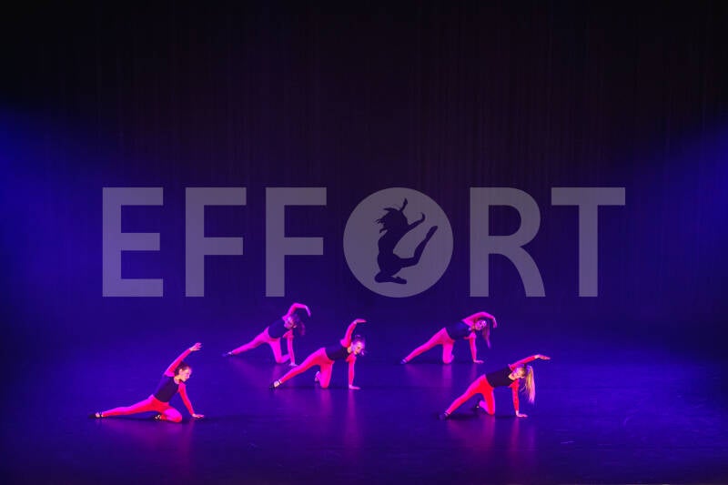 effort-logo-79.jpg